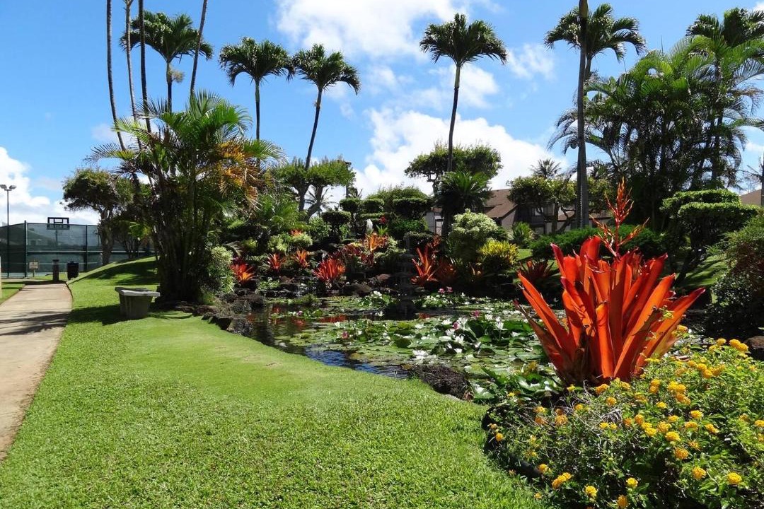 Photo of Others in Kapaa