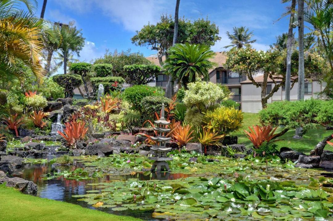 Photo of Others in Kapaa