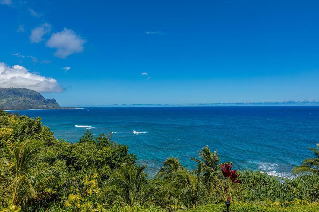 Photo of Others in Princeville