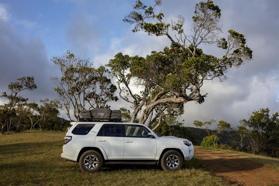 Photo of Outdoor in Anahola
