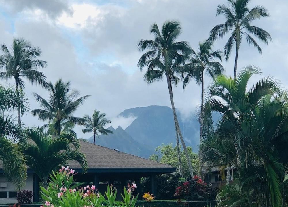 Photo of Others in Princeville