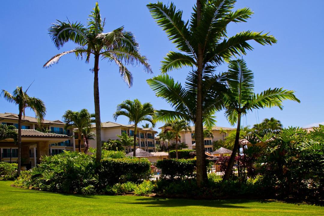 Photo of Others in Wailua