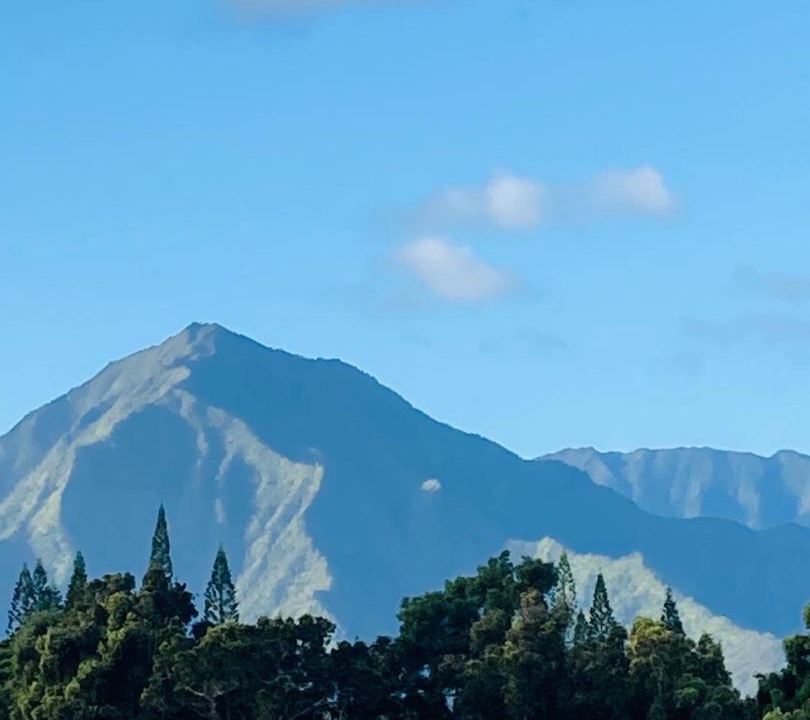 Photo of Others in Princeville