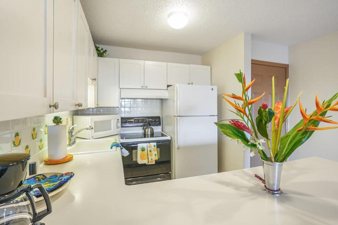 Photo of Kitchen in Nawiliwili