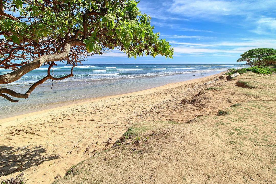 Photo of Others in Hanamaulu