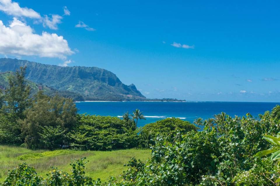 Photo of Others in Princeville