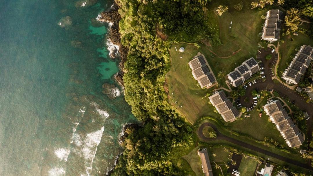 Photo of Others in Princeville