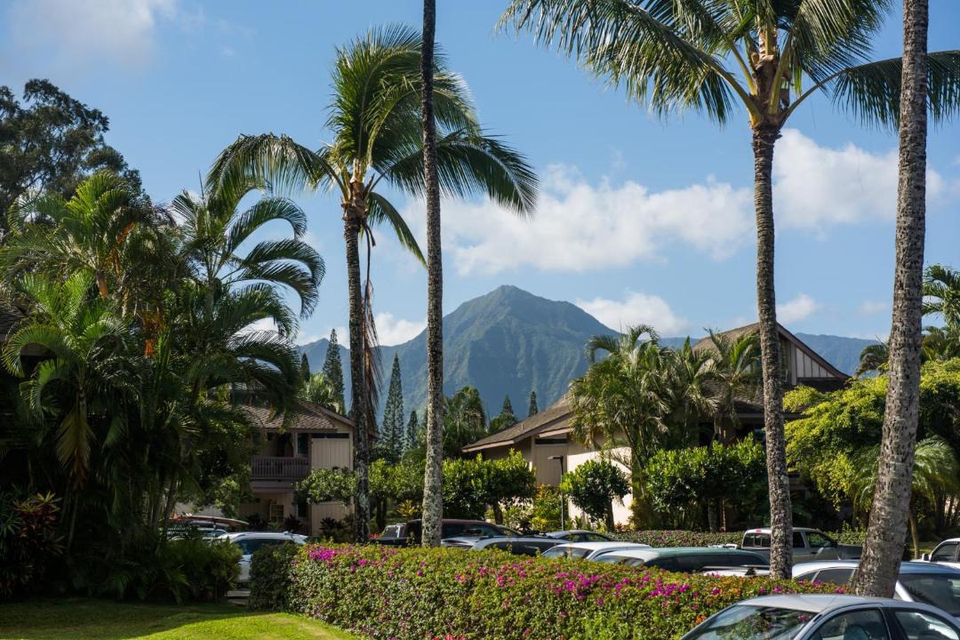 Photo of Others in Princeville