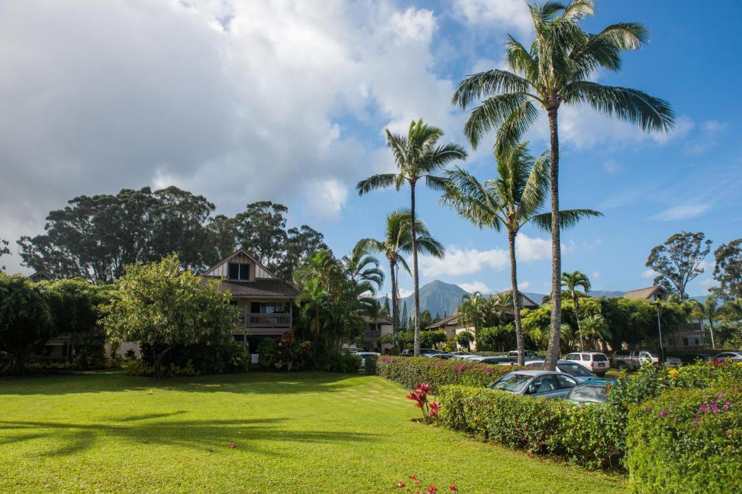 Photo of Others in Princeville
