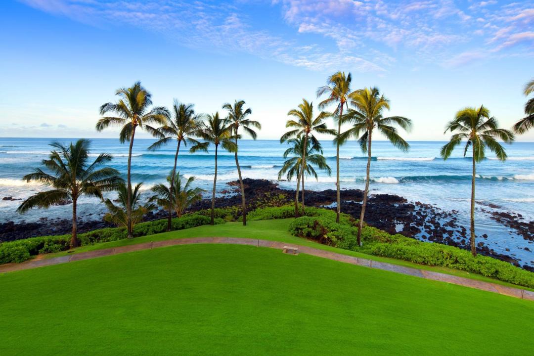 Photo of Others in Poipu