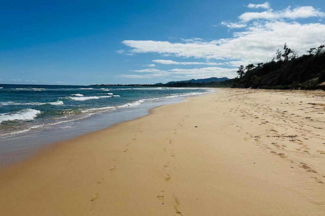 Photo of Others in Lihue