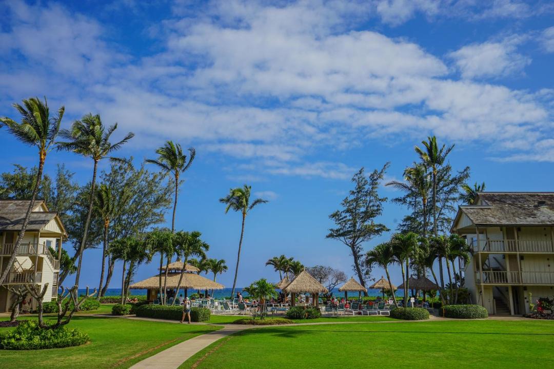 Photo of Others in Wailua