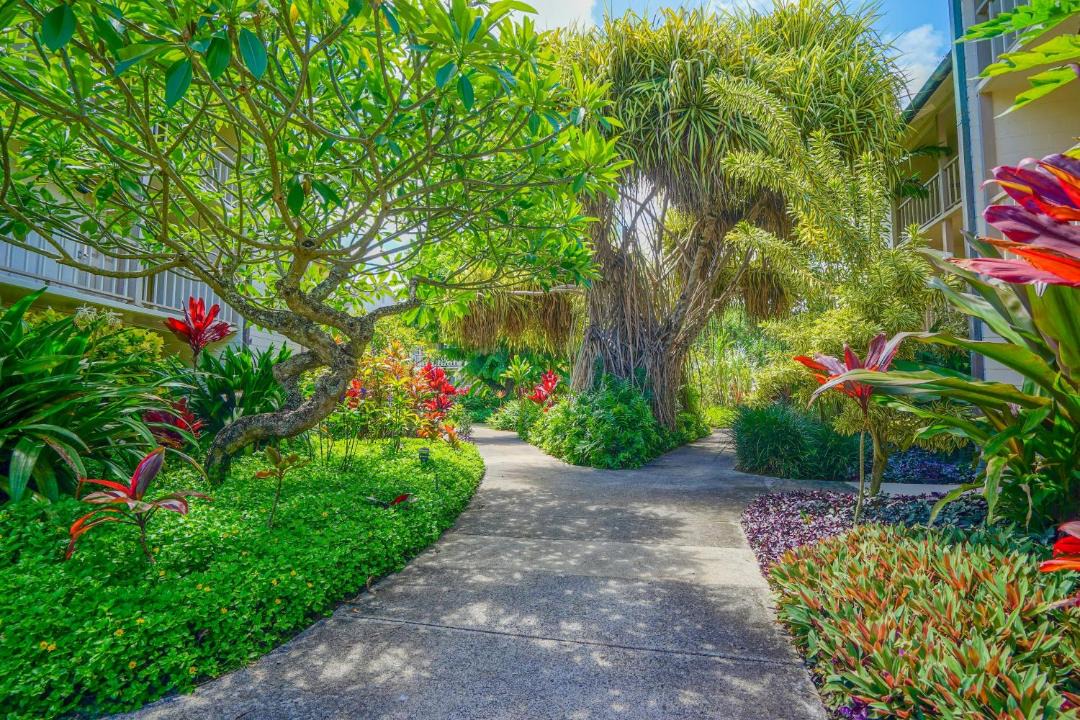 Photo of Others in Wailua