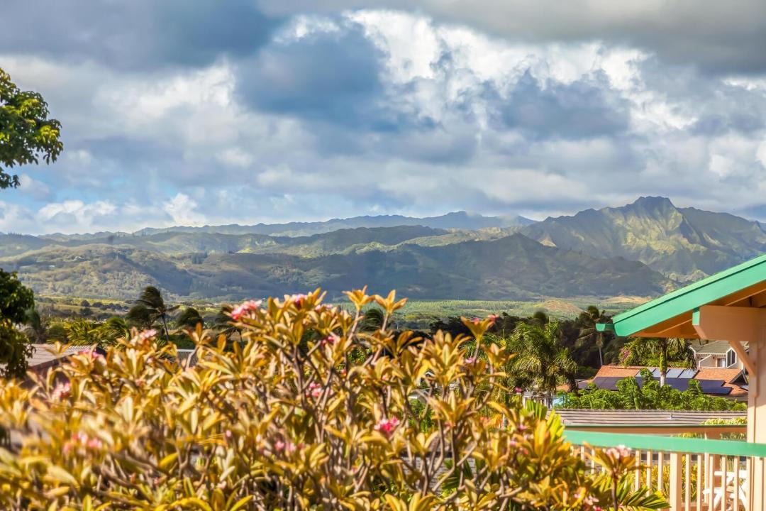Photo of Others in Koloa
