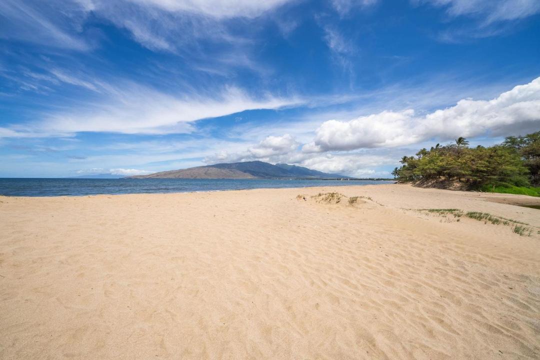 Photo of Others in Kihei
