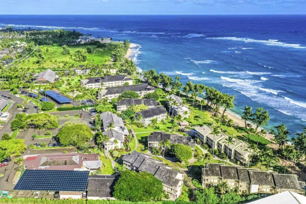 Photo of Others in Wailua
