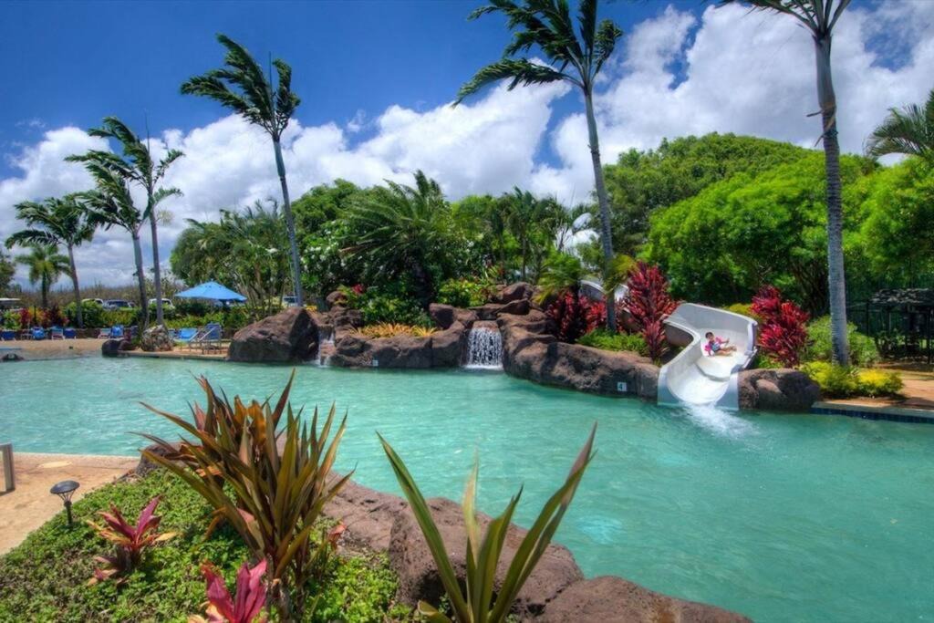 Photo of Others in Poipu
