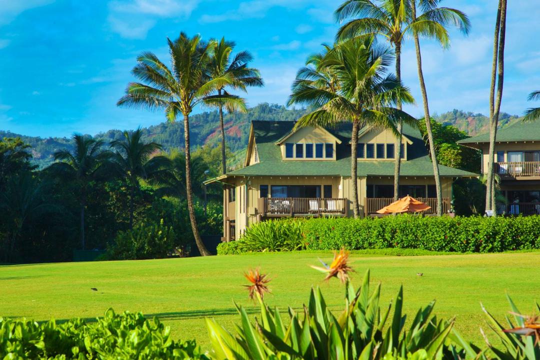 Photo of Buildings in Lihue
