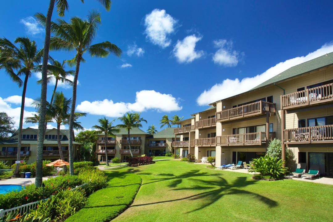 Photo of Buildings in Lihue