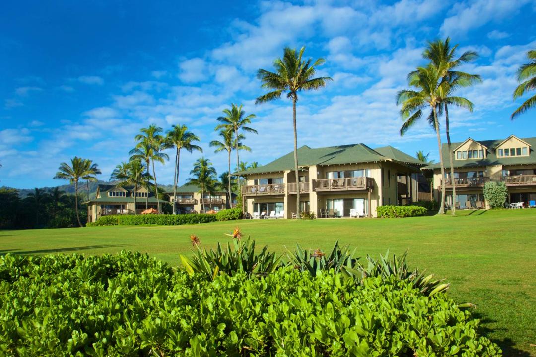 Photo of Buildings in Lihue
