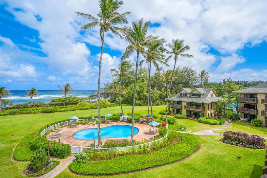 Photo of Others in Lihue
