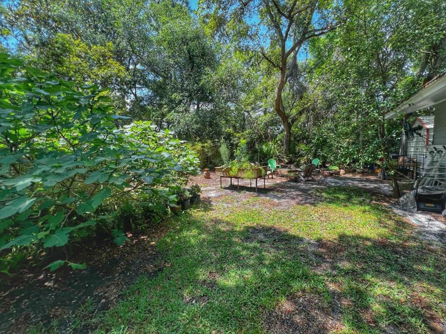 Photo of Others in Jekyll Island