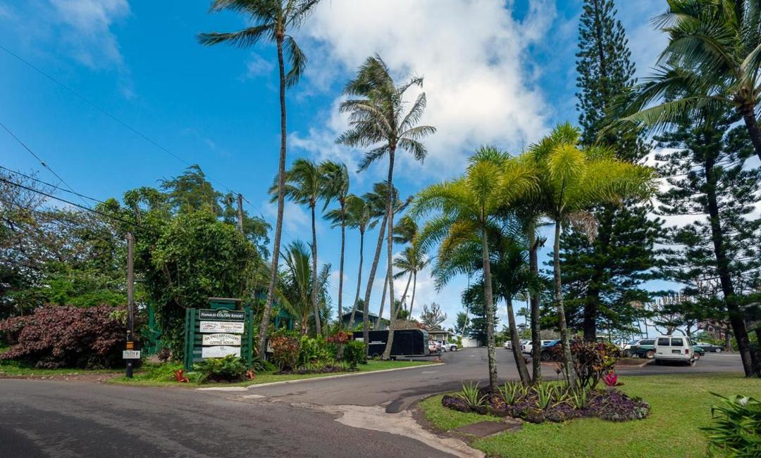 Photo of Others in Wainiha