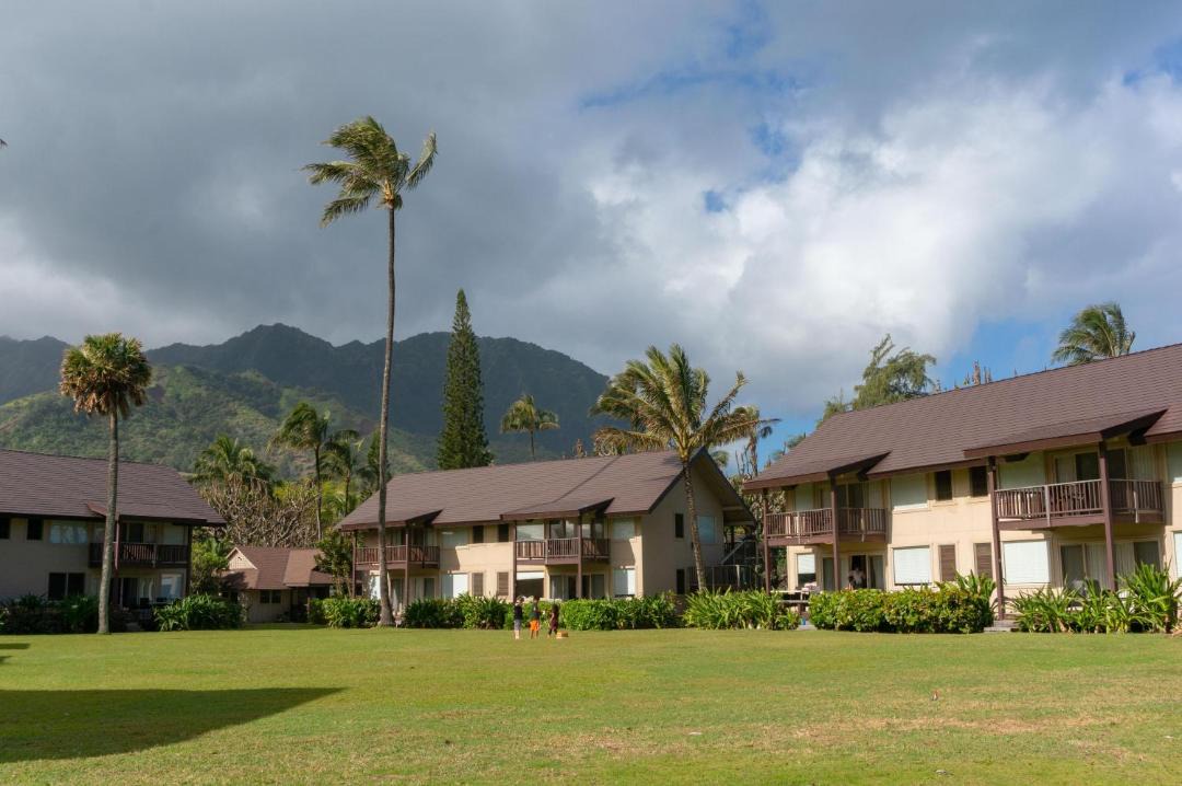Photo of Others in Wainiha
