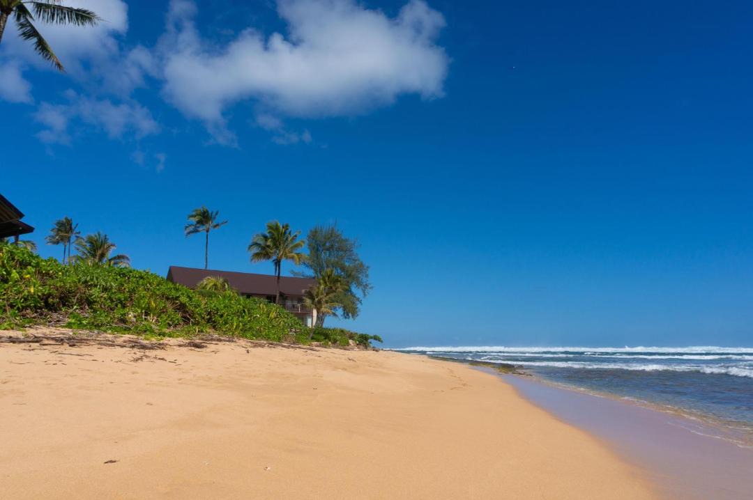 Photo of Others in Wainiha