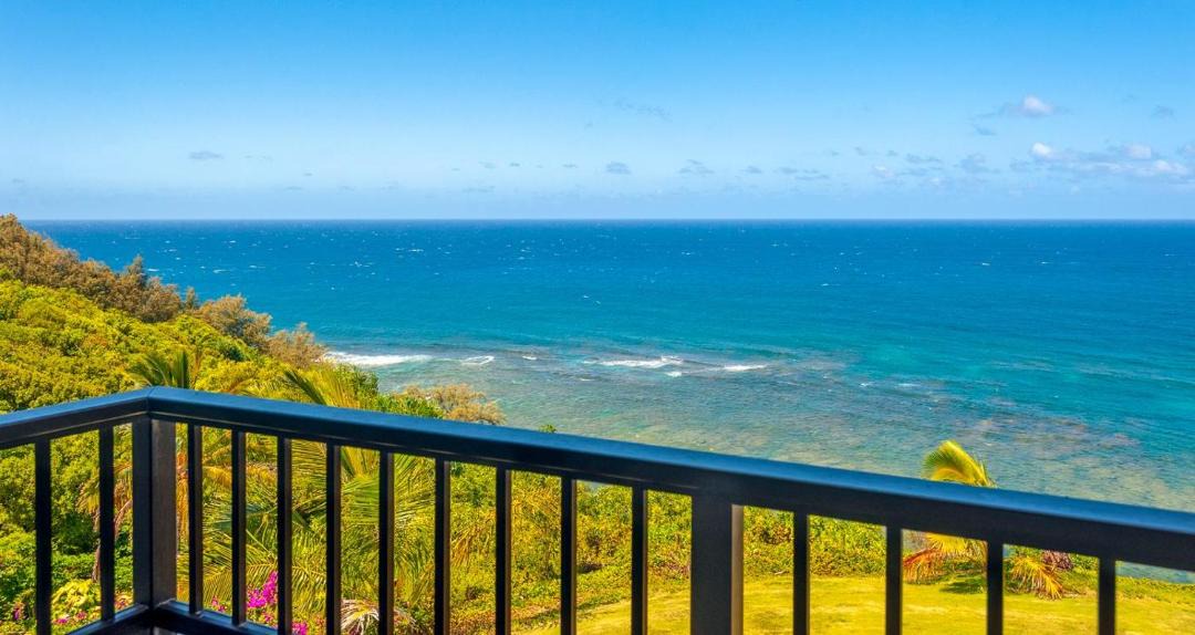 Photo of Others in Princeville
