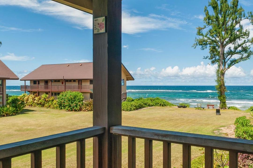 Photo of Others in Wainiha