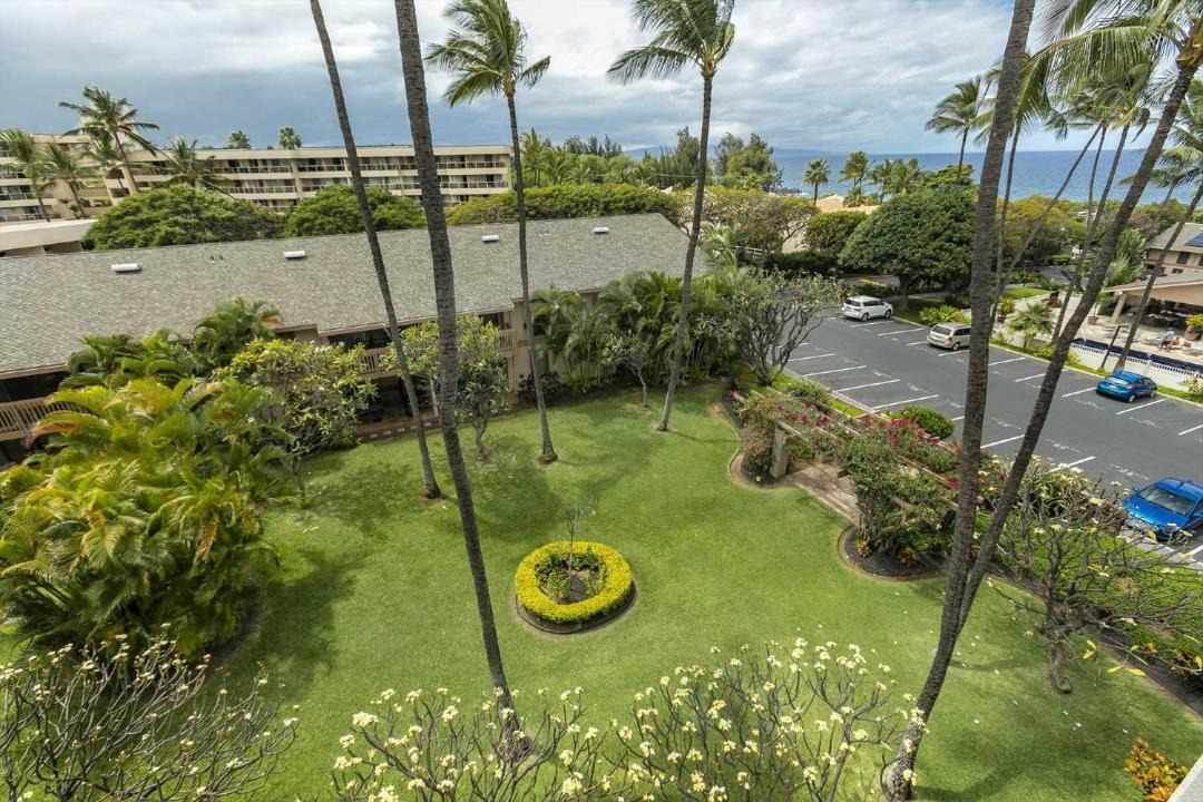 Photo of Others in Kihei