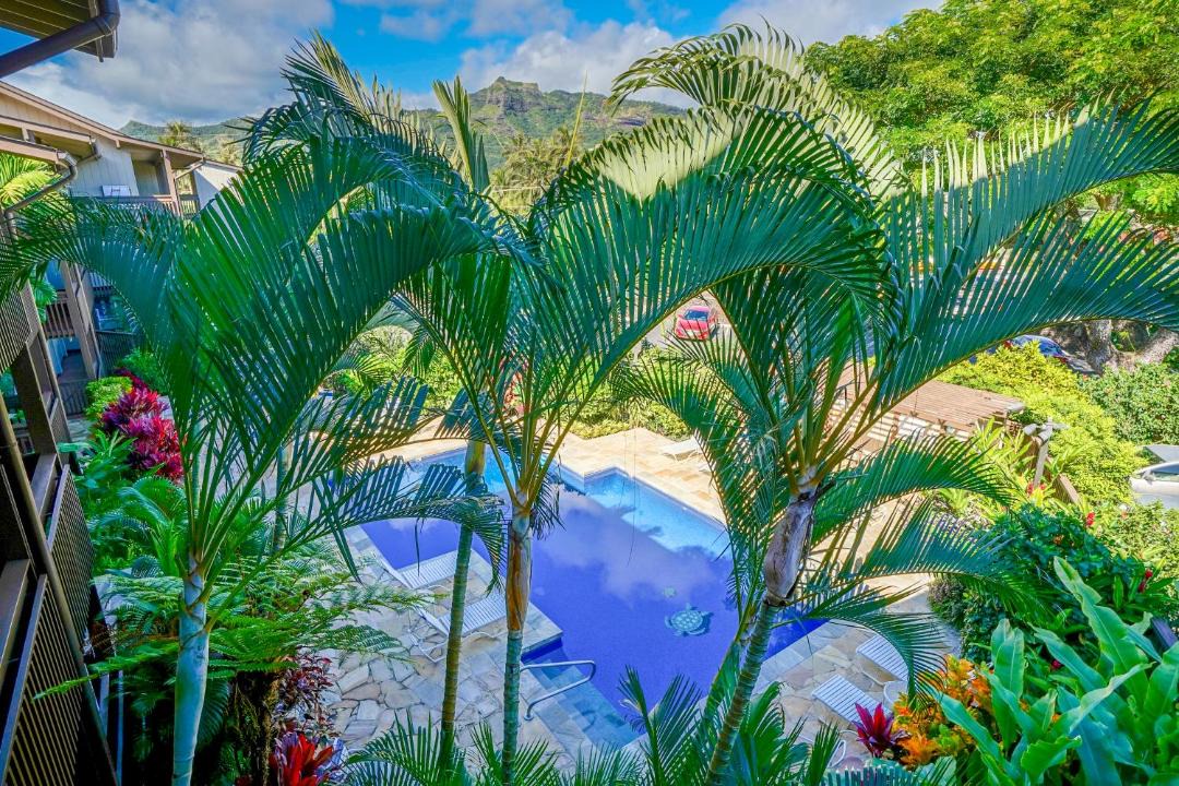 Photo of Others in Wailua House Lots
