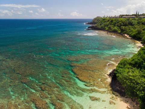 Photo of Others in Princeville