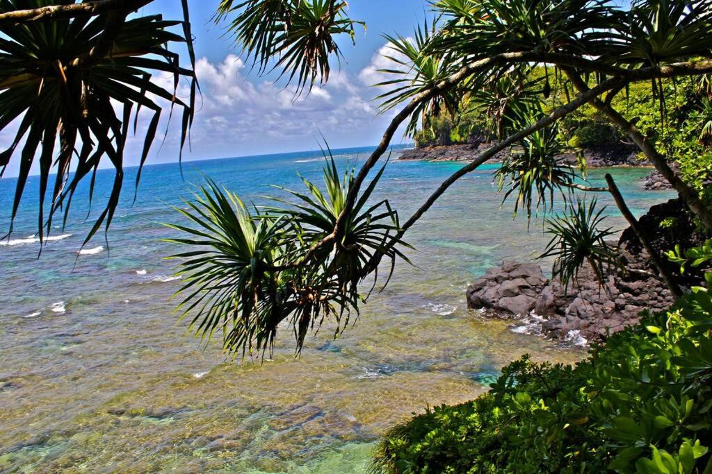 Photo of Outdoor in Hanalei