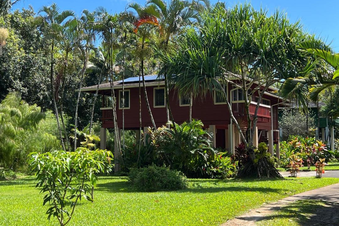 Photo of Others in Wainiha