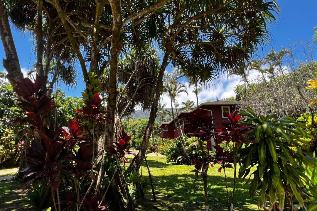Photo of Others in Wainiha