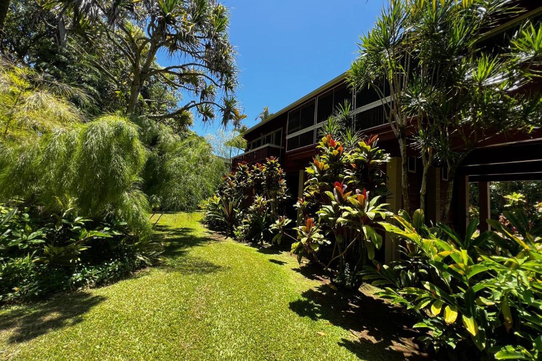 Photo of Others in Wainiha