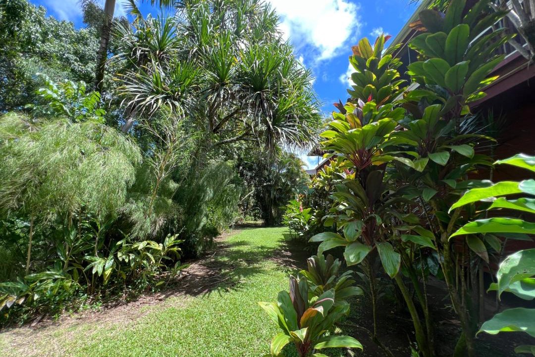 Photo of Others in Wainiha