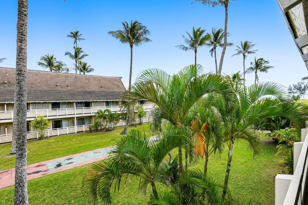 Photo of Others in Wailua