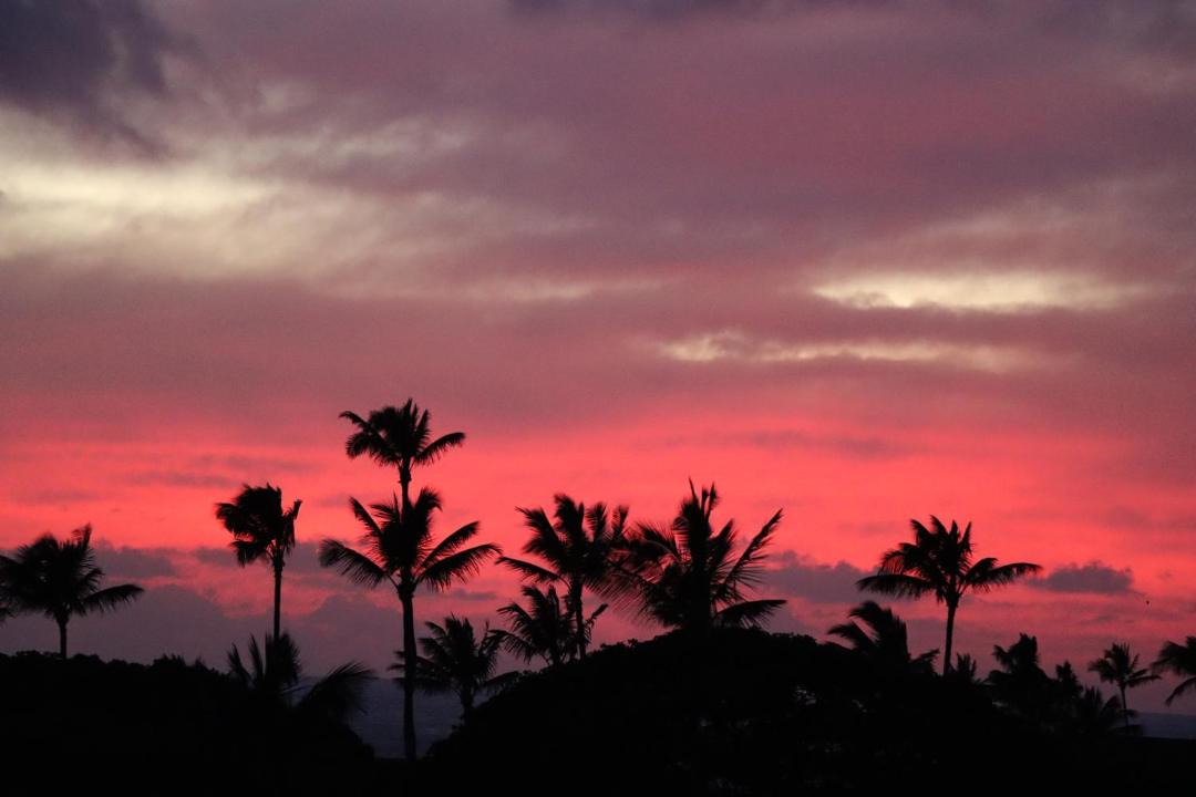 Photo of Others in Poipu