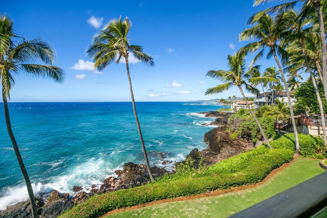 Photo of Others in Poipu