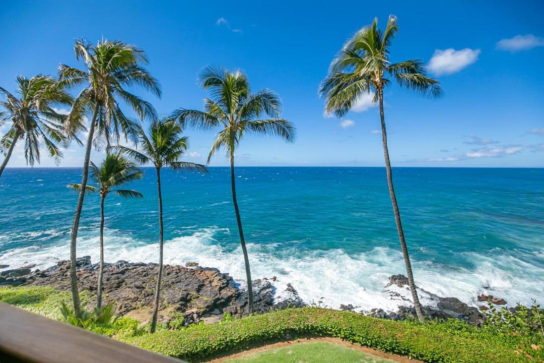 Photo of Others in Poipu