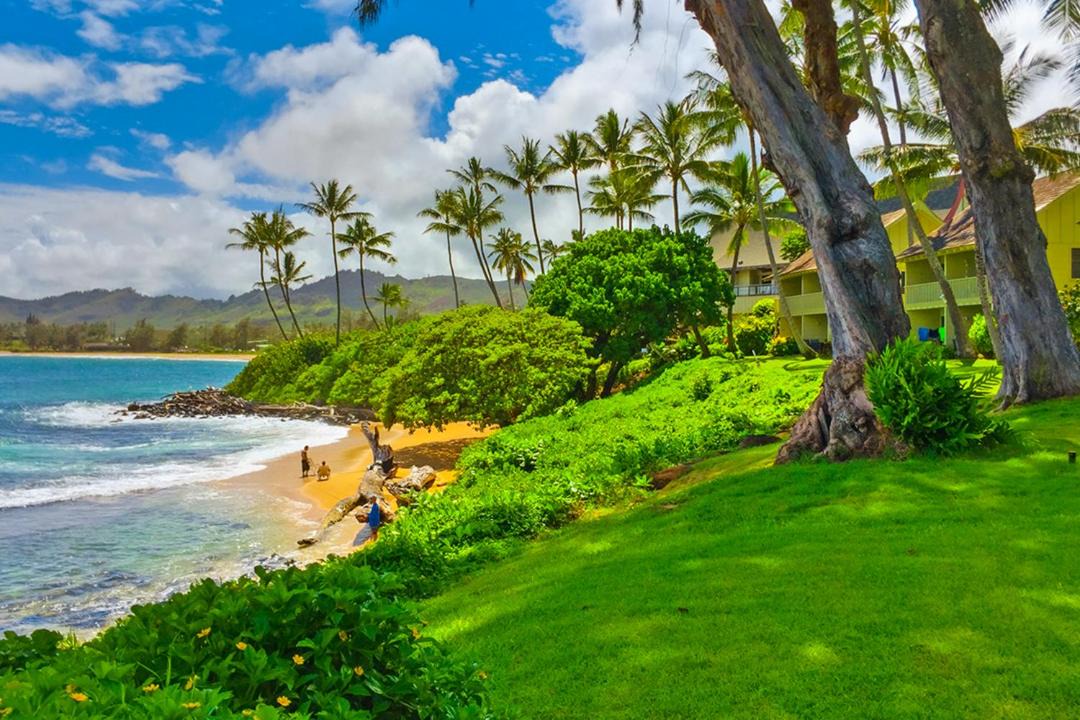 Photo of Others in Wailua