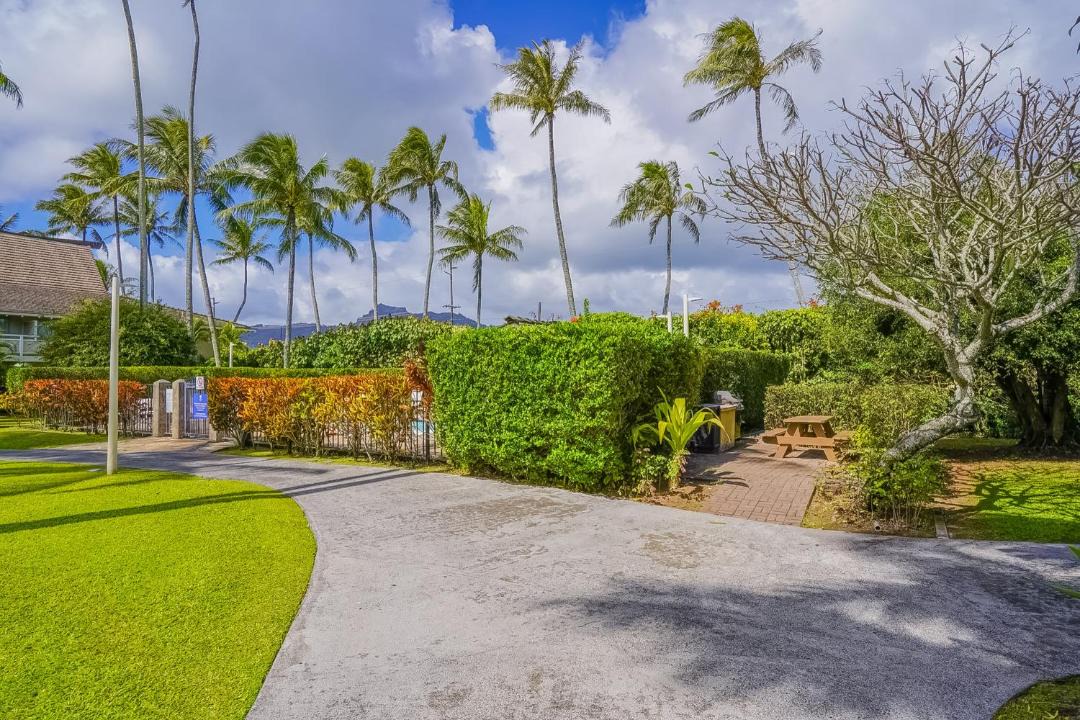 Photo of Others in Wailua