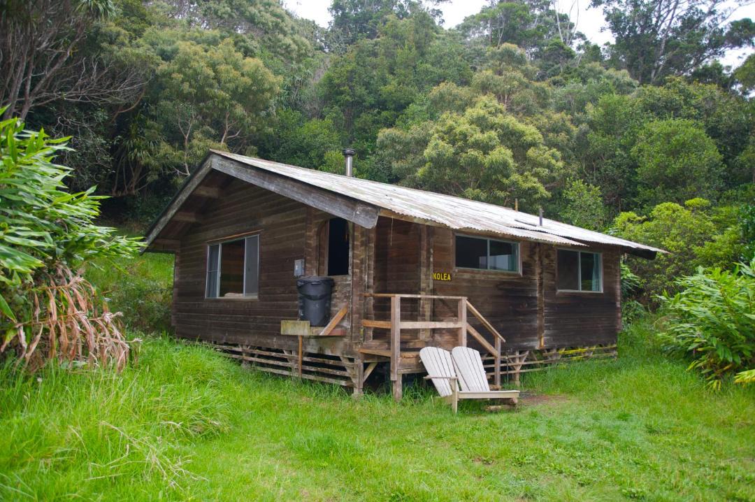 Photo of Others in Waimea