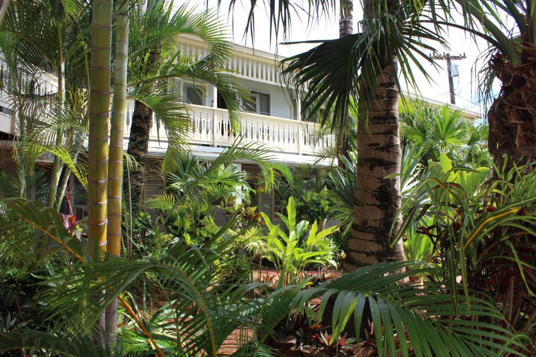 Photo of Buildings in Lihue
