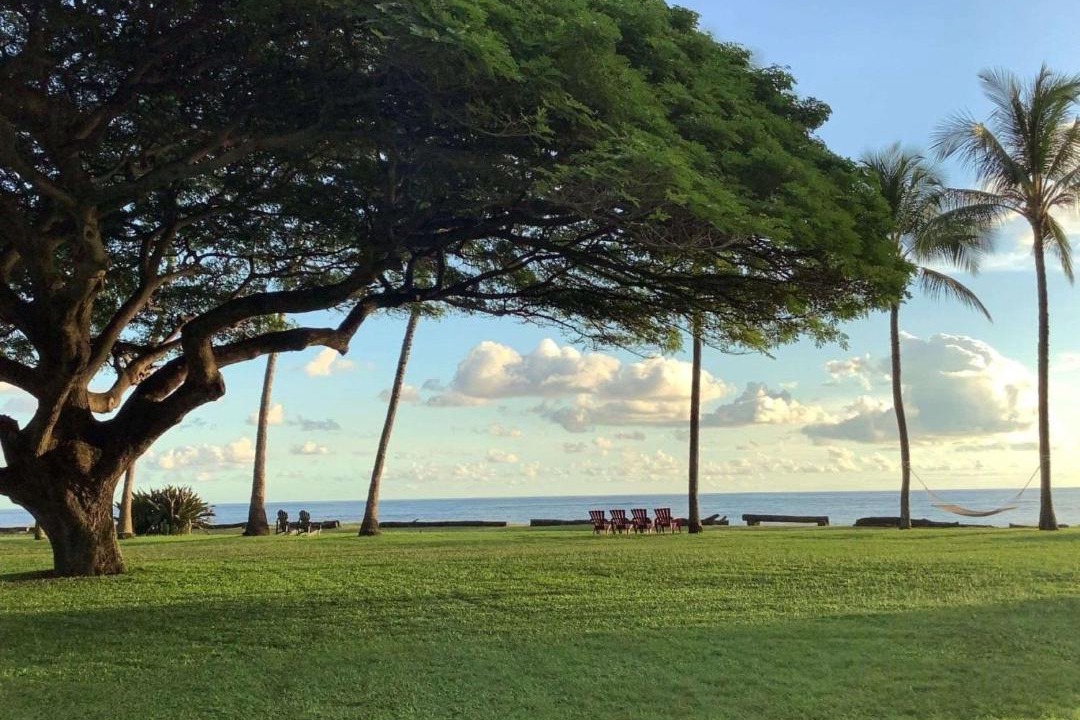 Photo of Others in Waimea