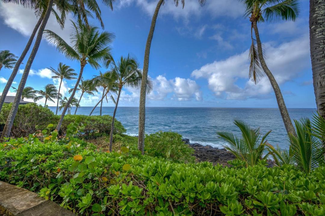 Photo of Others in Poipu