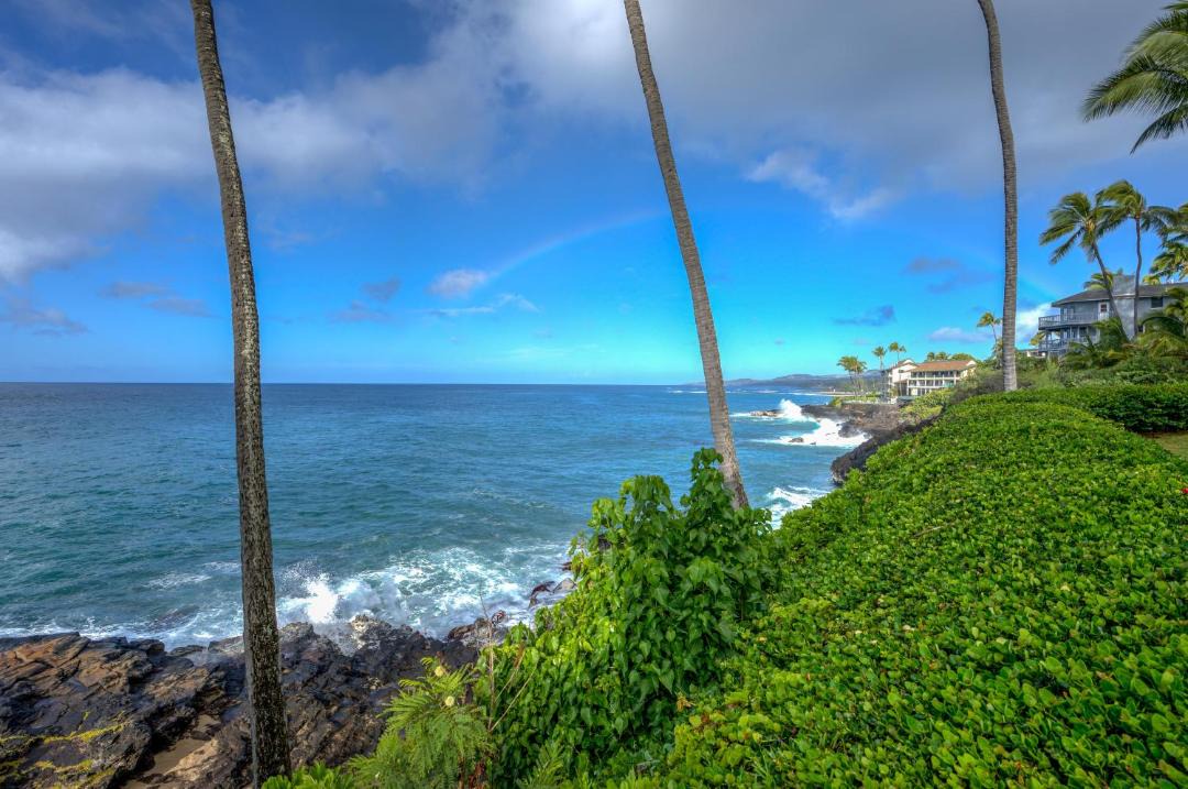 Photo of Others in Poipu
